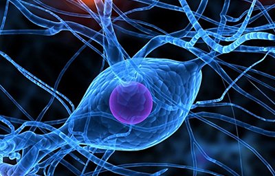 neurologo 400x256