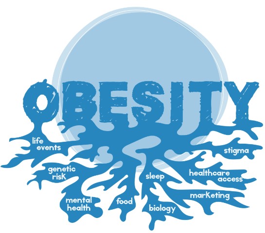 dietista,world obesity day,obesità,salute,fattori di rischio,corretta alimentazione,giornata mondiale dell&#039;obesità